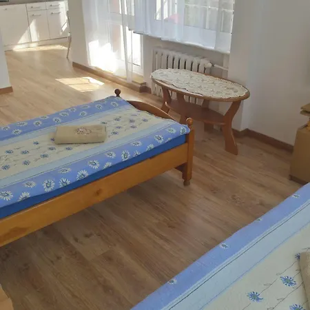Sart Apartment *